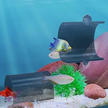 Amazon.co.jp ほしい物ランキング: 水槽用装飾テーマオーナメント で